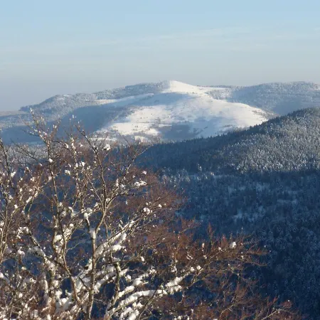 Le Liseron Munster (Haut-Rhin)
